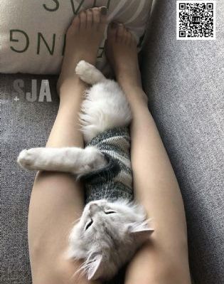 性色av色香蕉一区二区蜜桃_国产剧在线播放观看